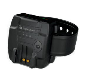 SCRAM GPS ankle unit